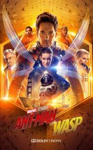 Ant-Man ve Eşek Arısı (Ant-Man and the Wasp) izle (2018)