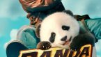 Panda Plan izle (2024)