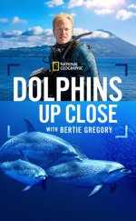Dolphins Up Close with Bertie Gregory izle (2025)
