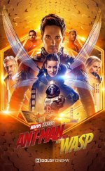 Ant-Man ve Eşek Arısı (Ant-Man and the Wasp) izle (2018)