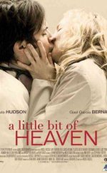 Bir Tutam Cennet (A Little Bit of Heaven) izle (2011)
