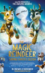 Niko: Kuzey Işıklarının Ötesinde izle (2024)
