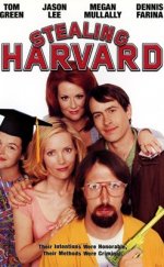 Harvard Hırsızı (Stealing Harvard) izle (2002)