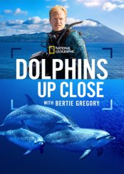 Dolphins Up Close with Bertie Gregory izle (2025)