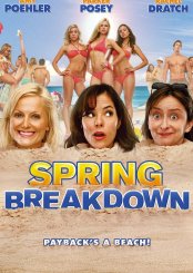 Unutulmaz Tatil (Spring Breakdown) izle (2009)