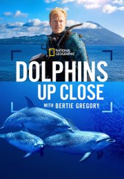 Dolphins Up Close with Bertie Gregory izle (2025)