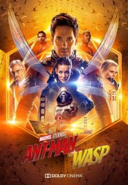 Ant-Man ve Eşek Arısı (Ant-Man and the Wasp) izle (2018)